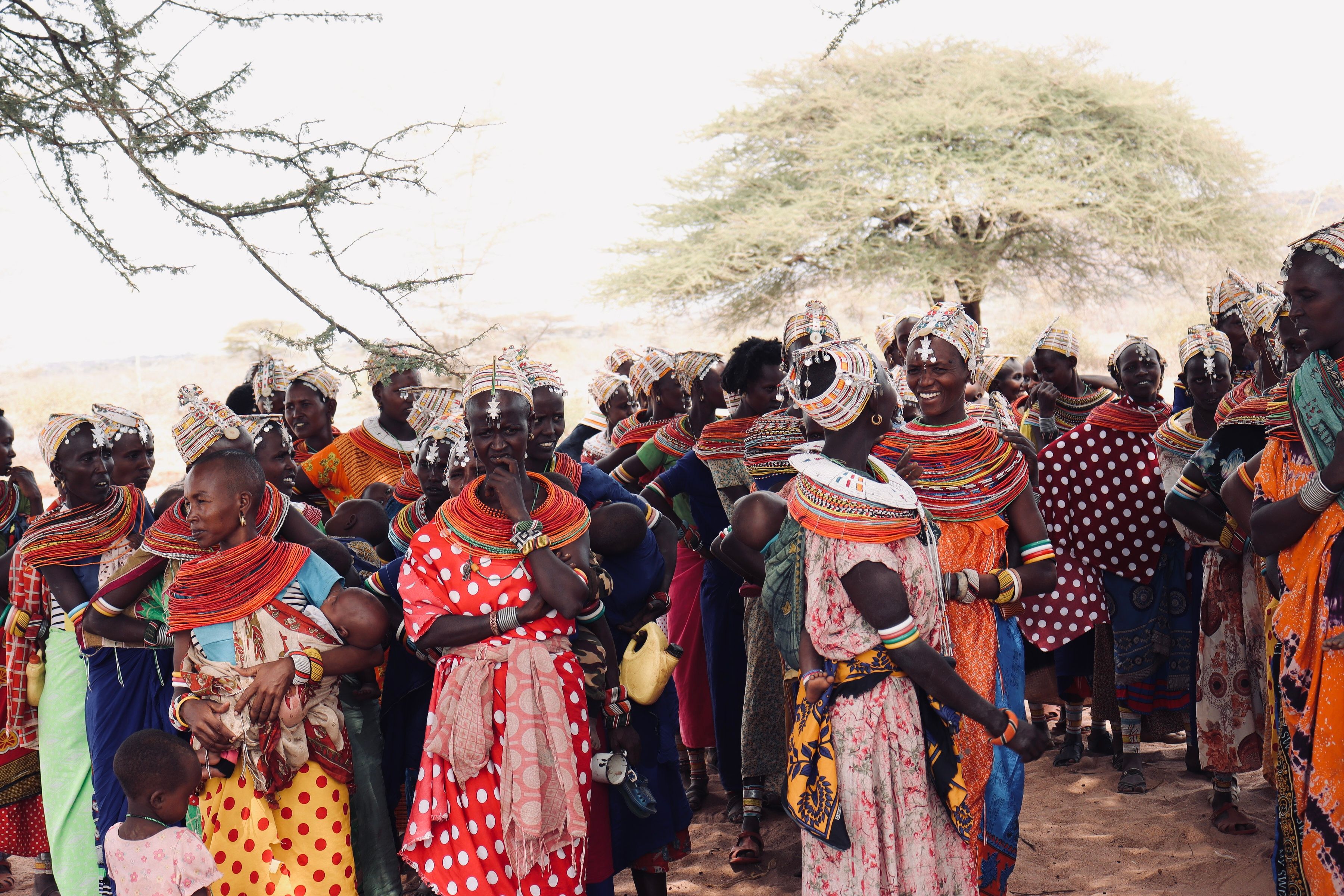 Hands planting a seedling in Kenya